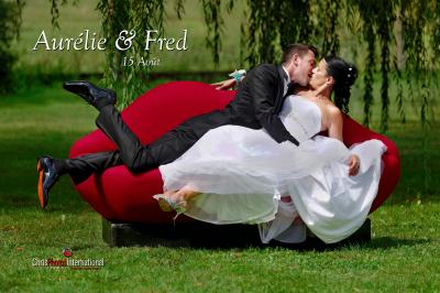 Miniature Chris Photos International #8 Une mariée en robe blanche regarde vers le sol, entourée d'un paysage enneigé et d'arbres en arrière-plan.