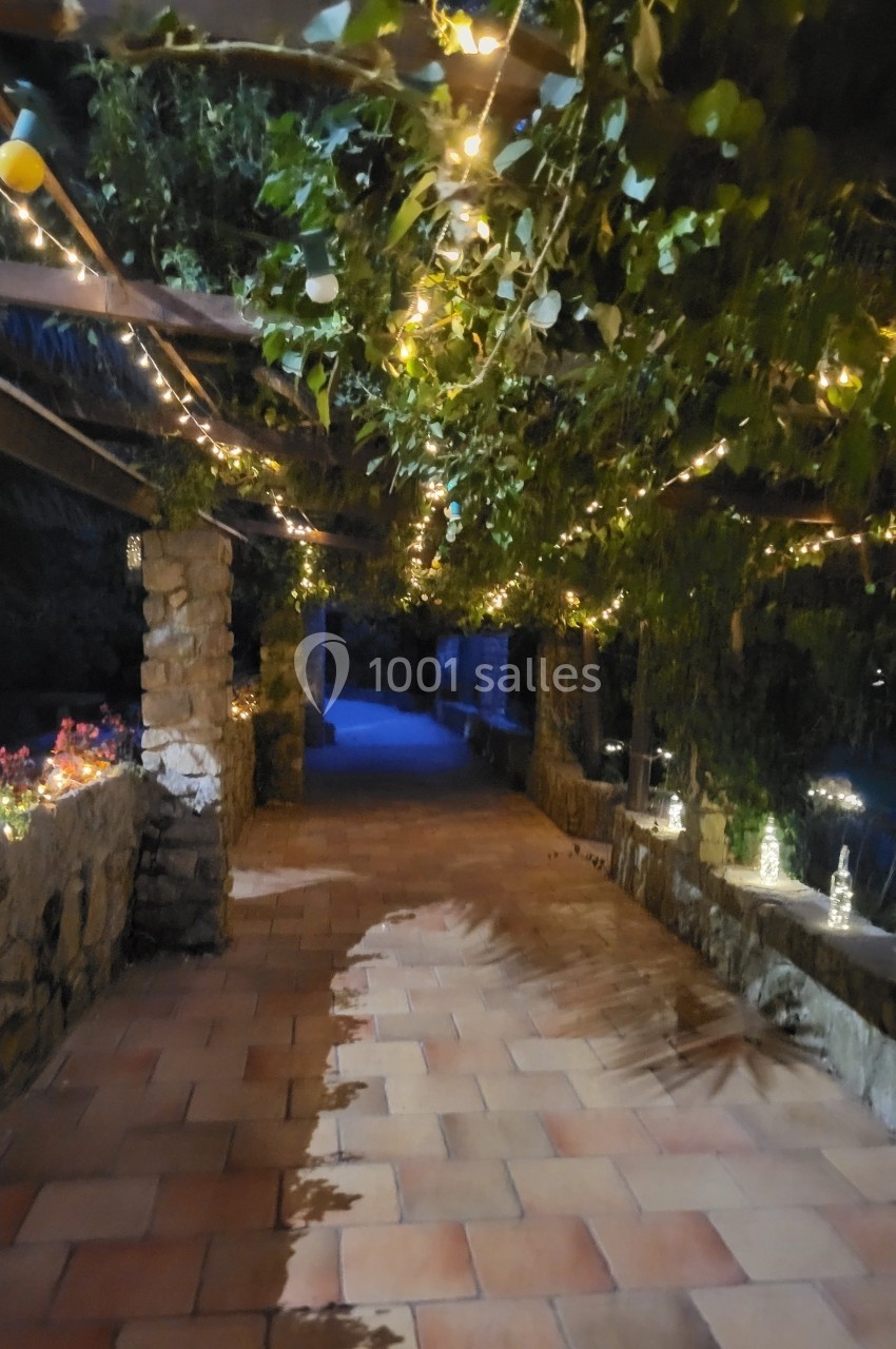 Passage en pierre avec pergola couverte de feuillage et guirlandes lumineuses, éclairant un chemin pavé la nuit.