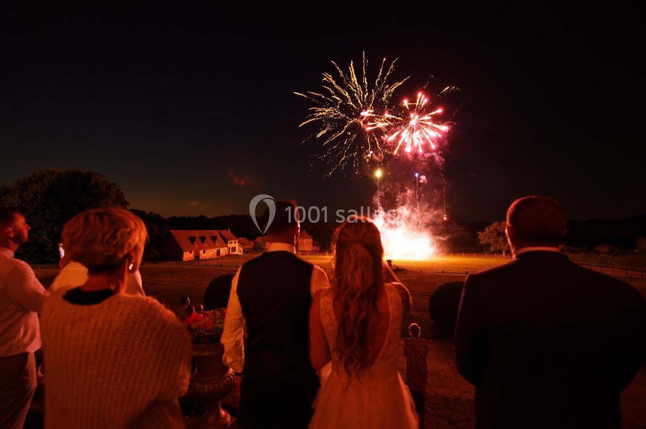 Un groupe de personnes observe un feu d'artifice illuminant le ciel nocturne au-dessus d'un paysage rural.