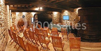 Château d'Aubiac - galerie - photo 1
