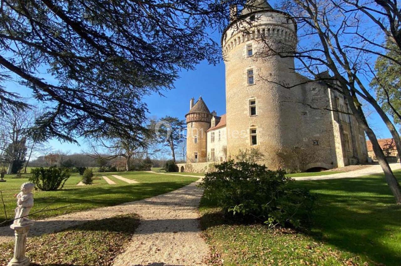 Chemin menant à un château en pierre entouré de pelouses et d'arbres sous un ciel bleu.