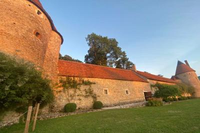 Miniature Location salle Bouesse (Indre) - Chateau de Bouesse en Berry #68 Vase de pivoines roses sur une table en bois, entouré de livres, chandeliers et fauteuils dans un salon élégant.