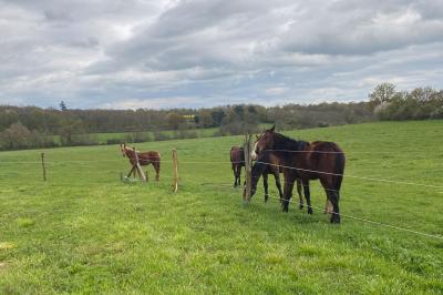 Miniature Location salle Bouesse (Indre) - Chateau de Bouesse en Berry #79 Vase de pivoines roses sur une table en bois, entouré de livres, chandeliers et fauteuils dans un salon élégant.