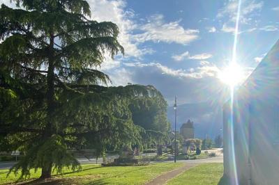 Miniature Location salle Bouesse (Indre) - Chateau de Bouesse en Berry #80 Vase de pivoines roses sur une table en bois, entouré de livres, chandeliers et fauteuils dans un salon élégant.