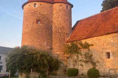 Miniature Location salle Bouesse (Indre) - Chateau de Bouesse en Berry #89 Vase de pivoines roses sur une table en bois, entouré de livres, chandeliers et fauteuils dans un salon élégant.