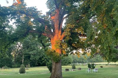 Miniature Location salle Bouesse (Indre) - Chateau de Bouesse en Berry #90 Vase de pivoines roses sur une table en bois, entouré de livres, chandeliers et fauteuils dans un salon élégant.