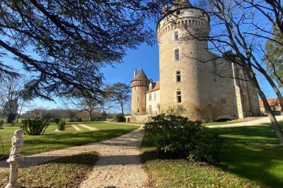 Chateau de Bouesse en Berry - photo 1