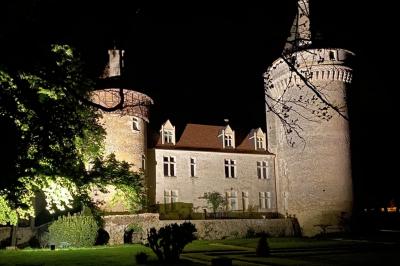 Chateau de Bouesse en Berry - photo 5