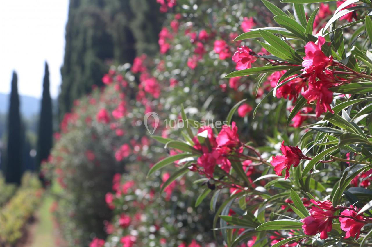 Location salle Cornillon (Gard) - Château de l’Olivete #19