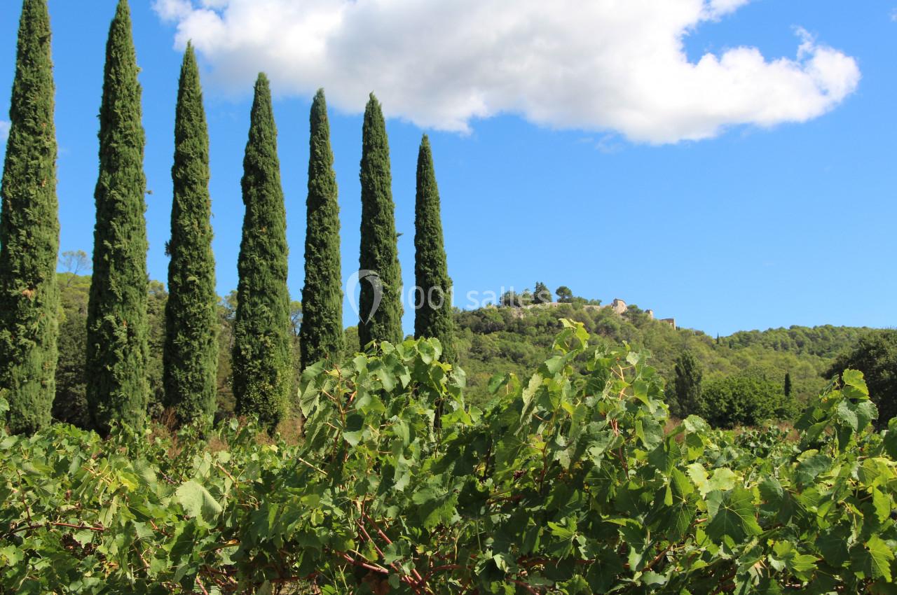 Les vignes du Château devant Cornillon