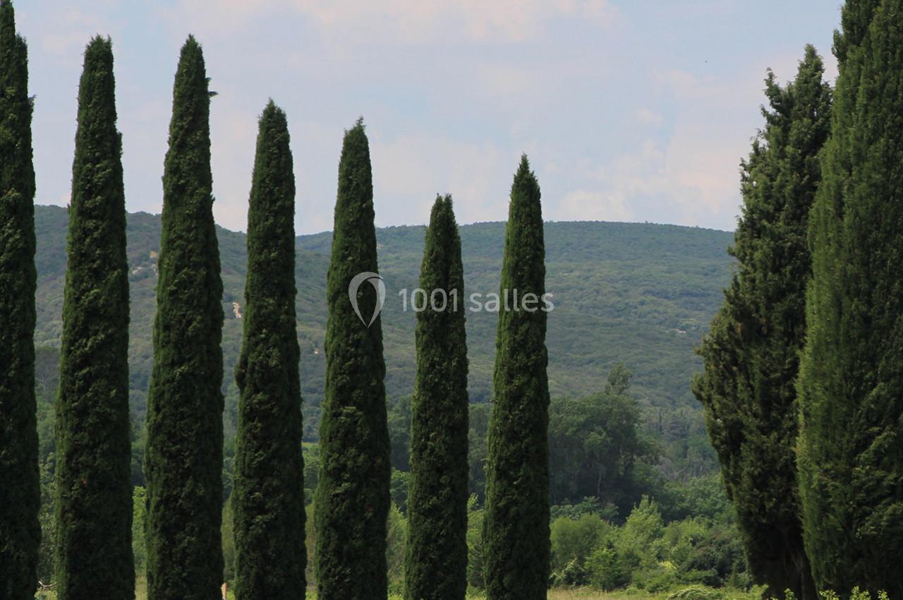 Château de l’Olivete - galerie - photo 39