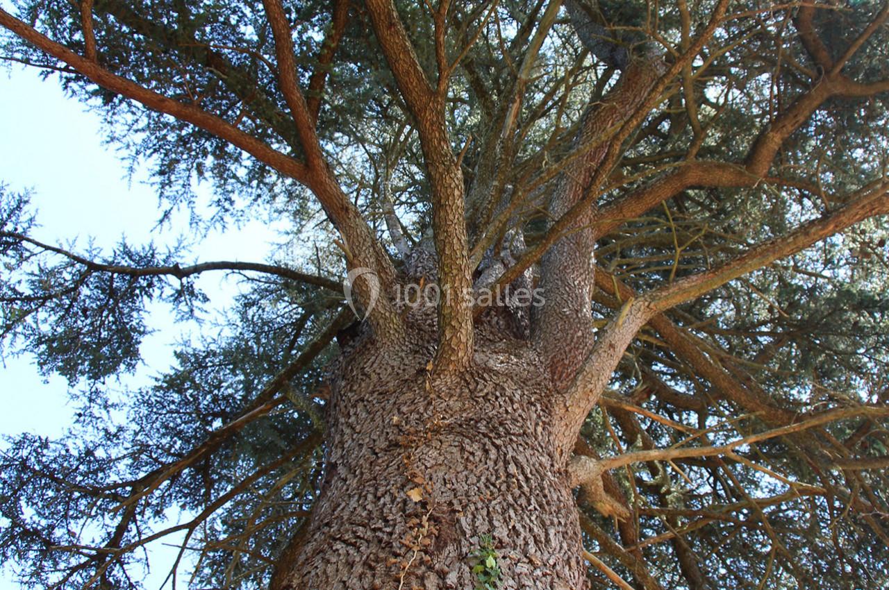 Château de l’Olivete - galerie - photo 40