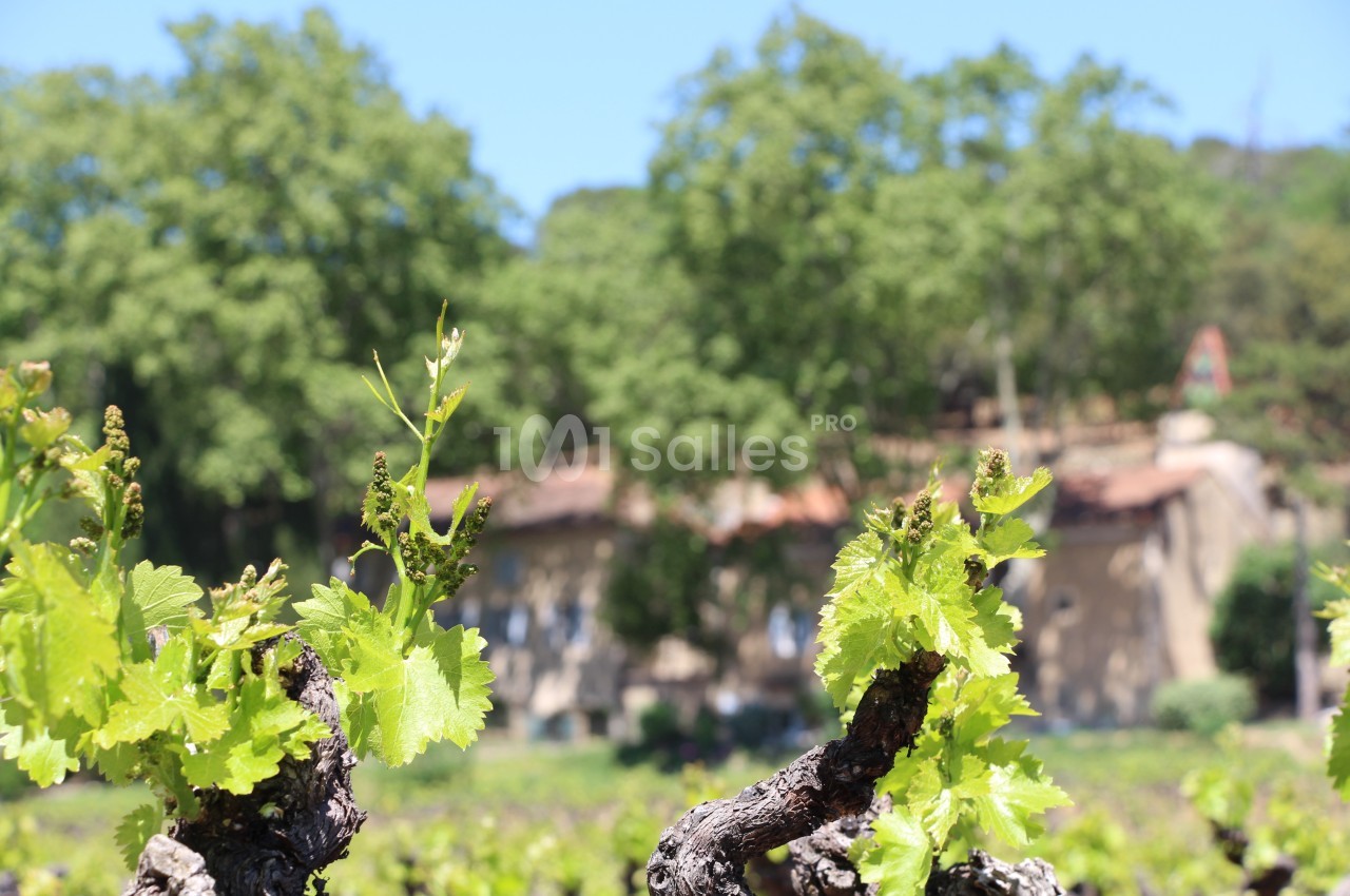 Vue de la propriété depuis le vignoble