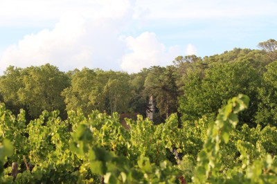 Château de l’Olivete - photo 2
