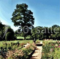 Domaine De Banizette - galerie - photo 3