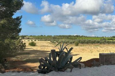 Paysage rural avec un chemin en gravier, des plantes, des champs verdoyants et un ciel partiellement nuageux.