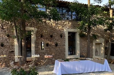 Paysage rural avec un chemin en gravier, des plantes, des champs verdoyants et un ciel partiellement nuageux.
