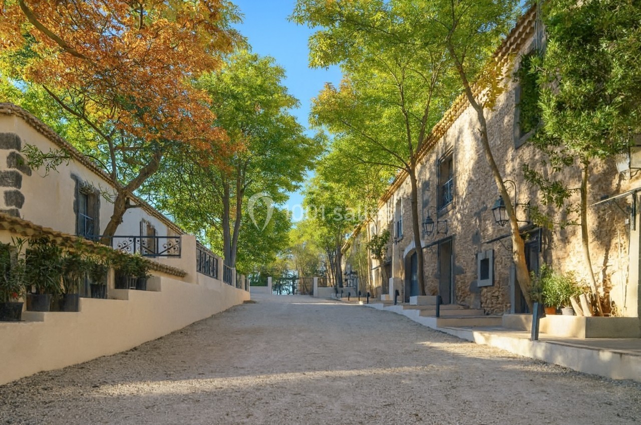 Rue pavée bordée de maisons en pierre et d'arbres, baignée de lumière naturelle sous un ciel dégagé.