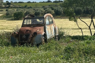 Paysage rural avec un chemin en gravier, des plantes, des champs verdoyants et un ciel partiellement nuageux.