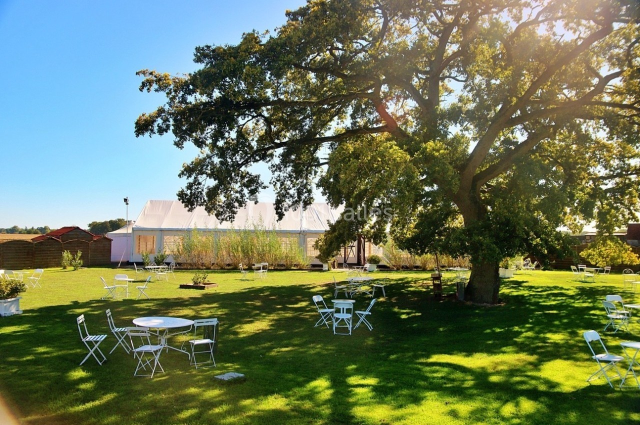 Grand jardin verdoyant avec des tables et chaises blanches disposées sous un grand arbre, proche d'une tente blanche.