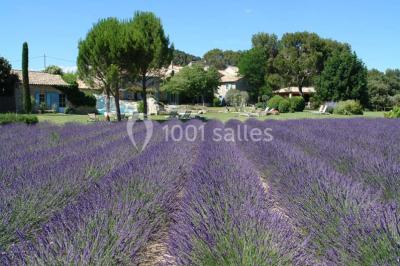 Location salle Orgon (Bouches-du-Rhône) - Le Mas de la Rose #24