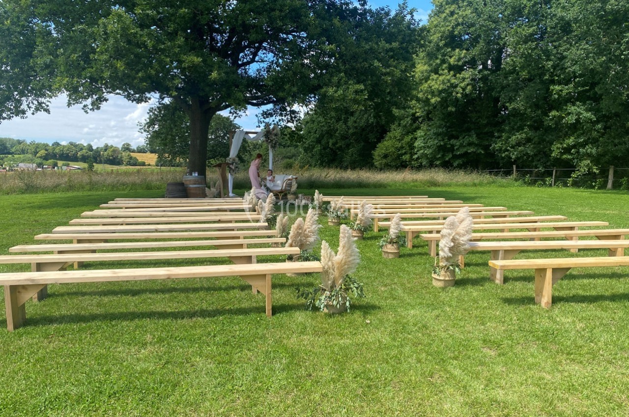 Bancs en bois disposés en rangées sur une pelouse, décorés de plantes, avec un arbre et un paysage en arrière-plan.