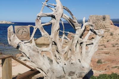 Traiteur Bonifacio (Corse-du-Sud) - Le Goéland Beach #12