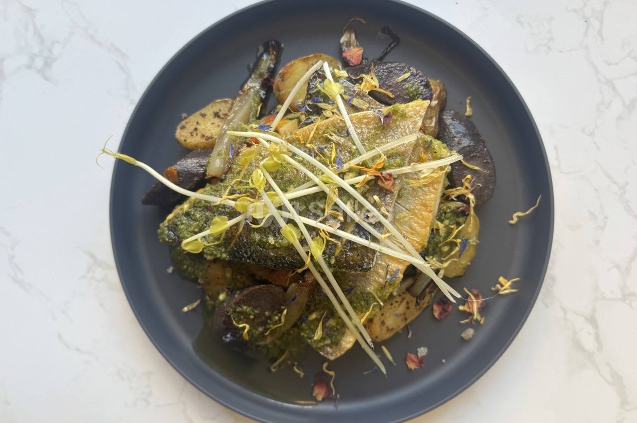 Assiette de poisson grillé avec légumes rôtis, herbes fraîches et pousses, présentée sur une assiette noire.