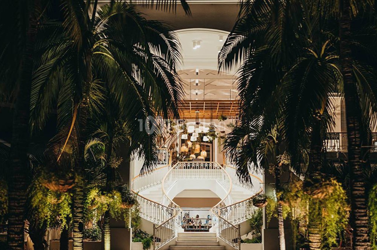 Escalier illuminé entouré de palmiers, menant à un espace intérieur avec des lustres suspendus.