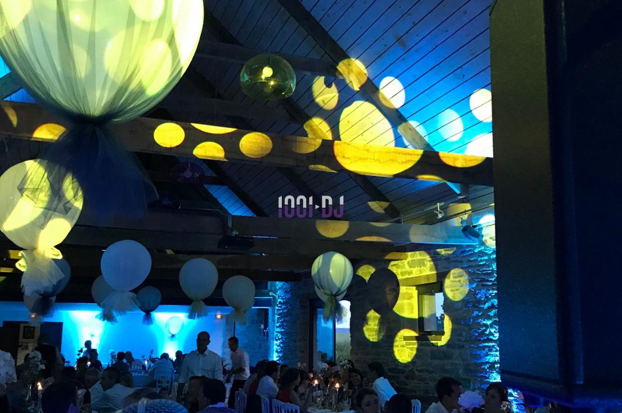 DJ Brest (Finistère) - Terre & Mer Dj Animateur  #10