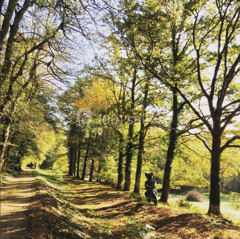 Location salle Saint-Forget (Yvelines) - Château De Mauvières #6