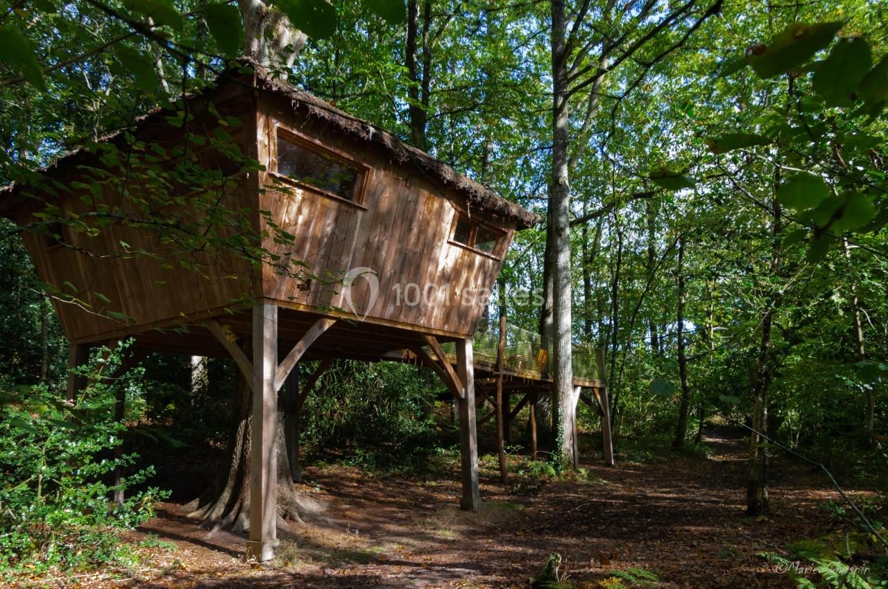 Cabane Mésange à 3m - max 6 couchages