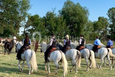 Location salle Arles (Bouches-du-Rhône) - Mas des Jasses #18