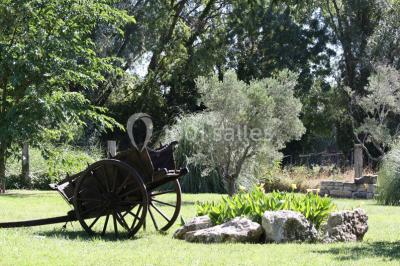 Location salle Arles (Bouches-du-Rhône) - Mas des Jasses #18