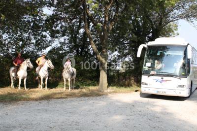 Location salle Arles (Bouches-du-Rhône) - Mas des Jasses #18