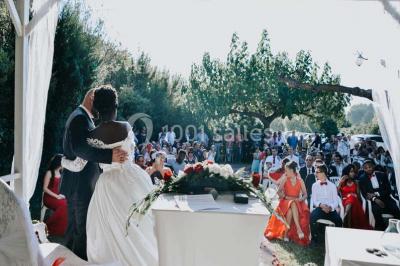 Salle vide avec un sol en parquet sombre, murs blancs, fenêtres et piliers gris sous un plafond à dalles blanches.