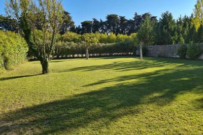 Salle vide avec un sol en parquet sombre, murs blancs, fenêtres et piliers gris sous un plafond à dalles blanches.