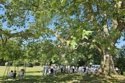 Château de Mornay - photo 2