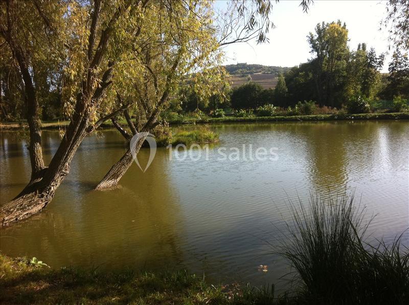 Étang calme entouré d'arbres avec un paysage vallonné en arrière-plan sous une lumière naturelle.