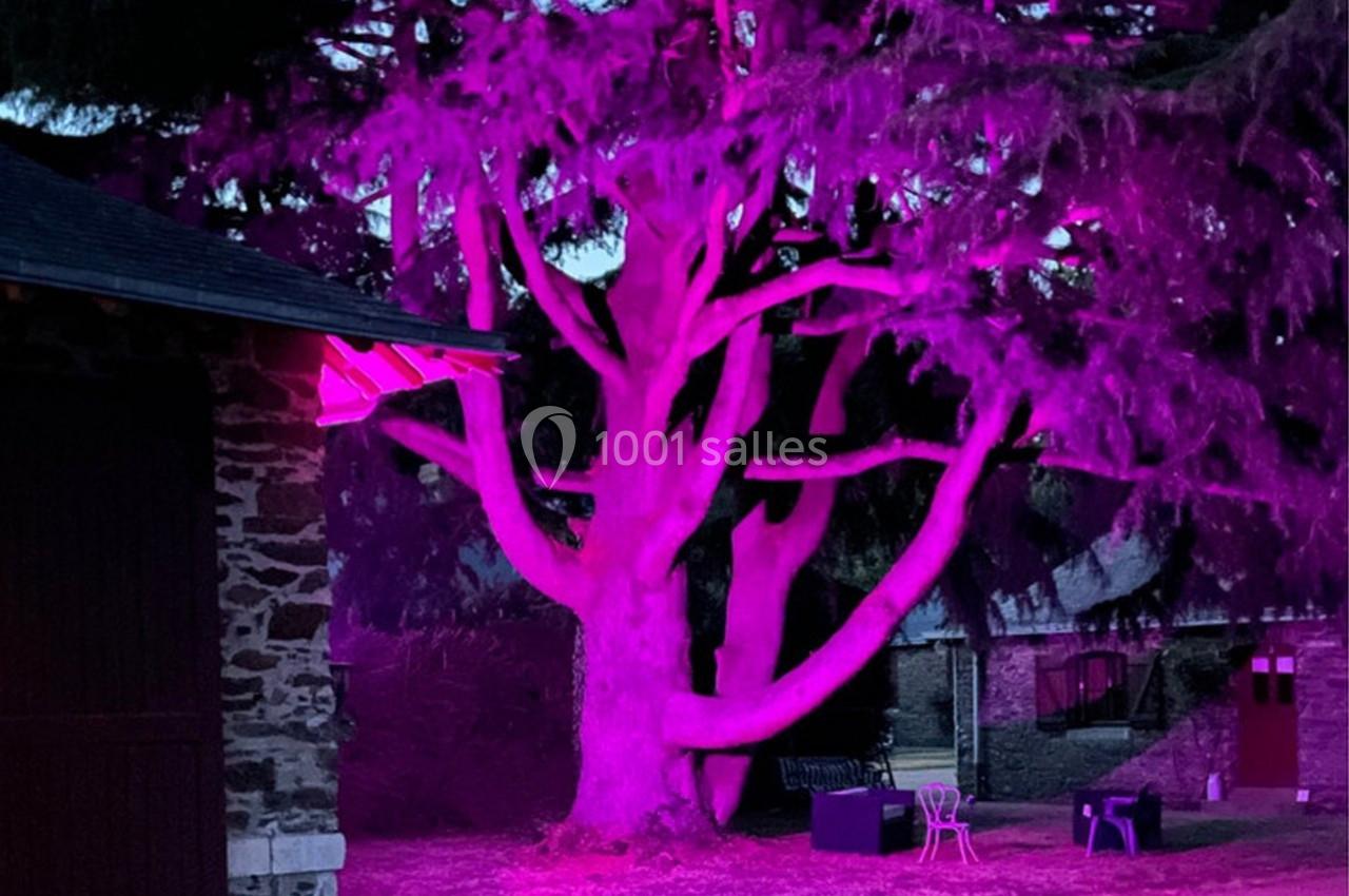 Domaine de la Jousselinière - galerie - photo 6