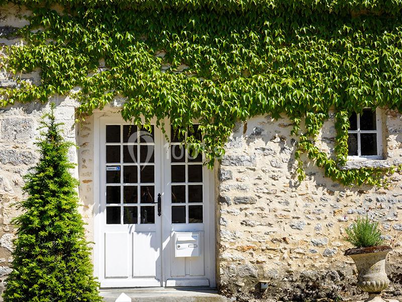 Façade en pierre avec porte vitrée blanche, fenêtres et mur couvert de lierre, un arbuste et un pot de fleurs devant.
