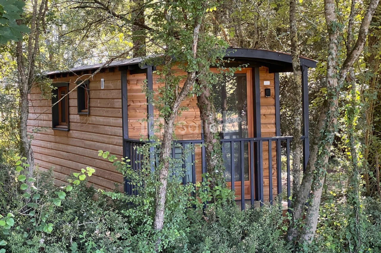 Cabane en bois entourée d'arbres et de végétation, avec une petite terrasse et des fenêtres vitrées.