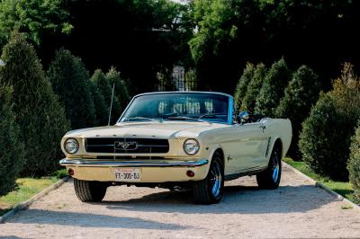 Voiture décapotable classique beige stationnée sur une allée gravillonnée entourée de haies vertes.
