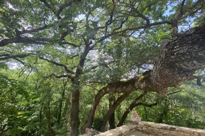 Location salle Apt (Vaucluse) - Domaine de la Santonne #23