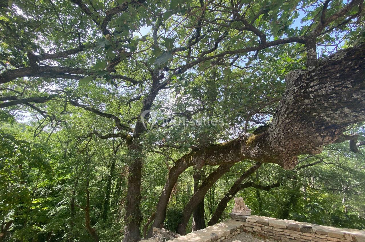 Location salle Apt (Vaucluse) - Domaine de la Santonne #18