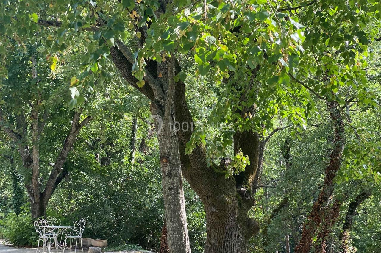 Location salle Apt (Vaucluse) - Domaine de la Santonne #20