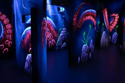 Location salle La Garenne-Colombes (Hauts-de-Seine) - Laser World La Garenne #19