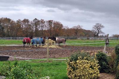 Miniature Location salle Dammartin-en-Serve (Yvelines) - La Joie du Palmier #7 Location salle Dammartin-en-Serve (Yvelines) - La Joie du Palmier #13