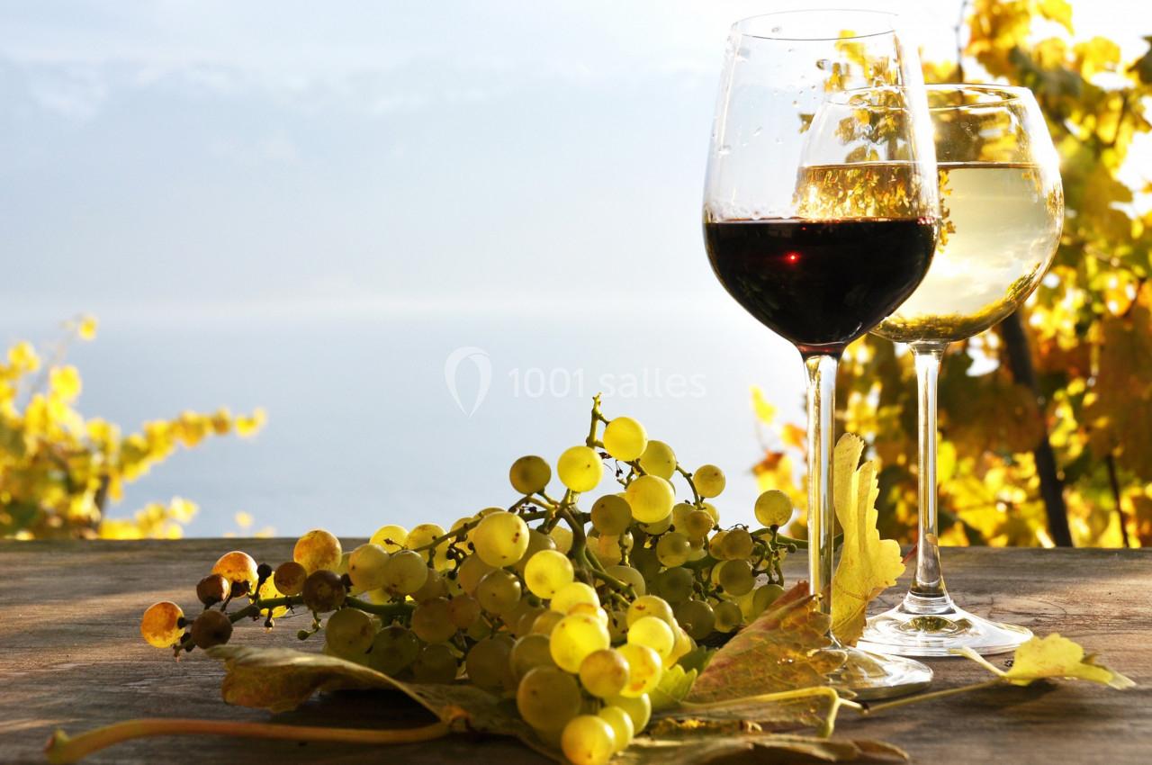 Deux verres de vin rouge et blanc posés sur une table en bois, entourés de grappes de raisin et de feuilles, avec un paysage…