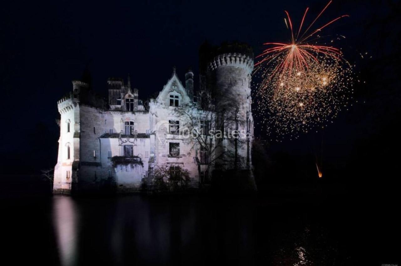 Château de la Mothe Chandeniers - galerie - photo 10